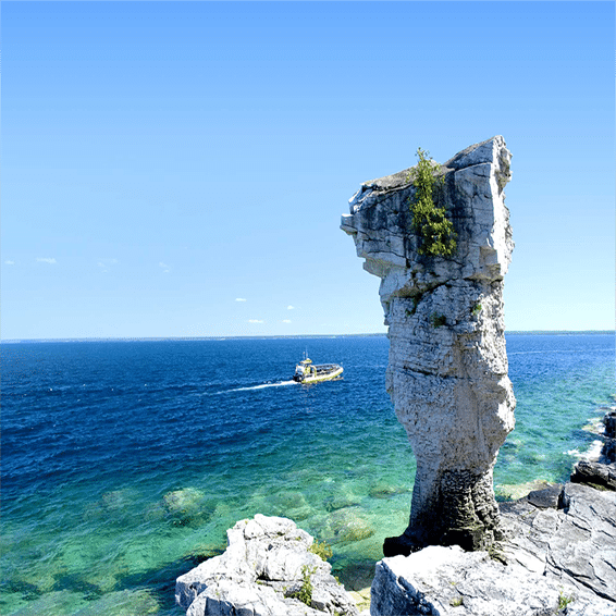 In The Heart Of Tobermory