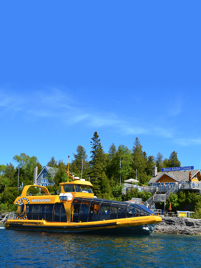 In The Heart Of Tobermory